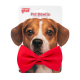 Companion Gear™ Pet Bow Tie - Red